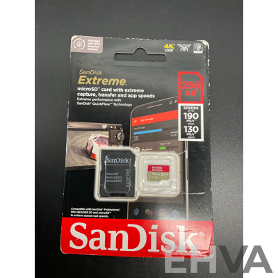 SanDisk 256GB and Fila Shorts  - Lot of 2