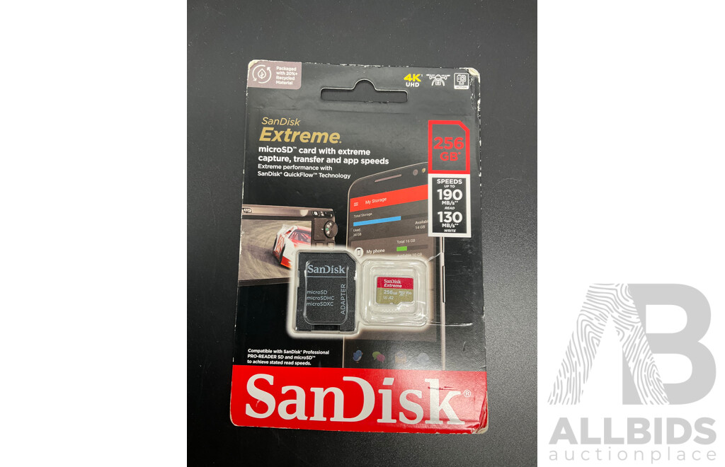 SanDisk 256GB and Fila Shorts  - Lot of 2