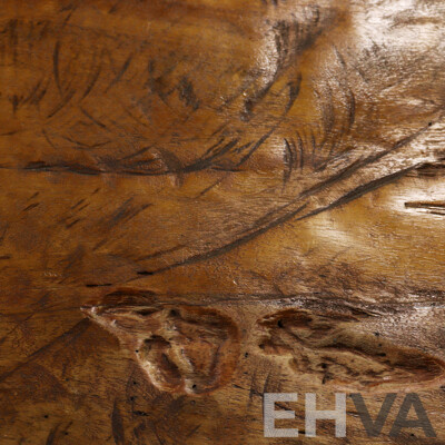 Large Rustic River Gum Banquet Table