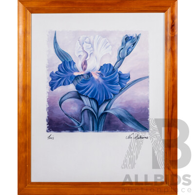 Nia Salaoras, (20th Century), [Study of An] Iris, Contemporary Reproduction Colour Print, 58 x 47 cm (frame)