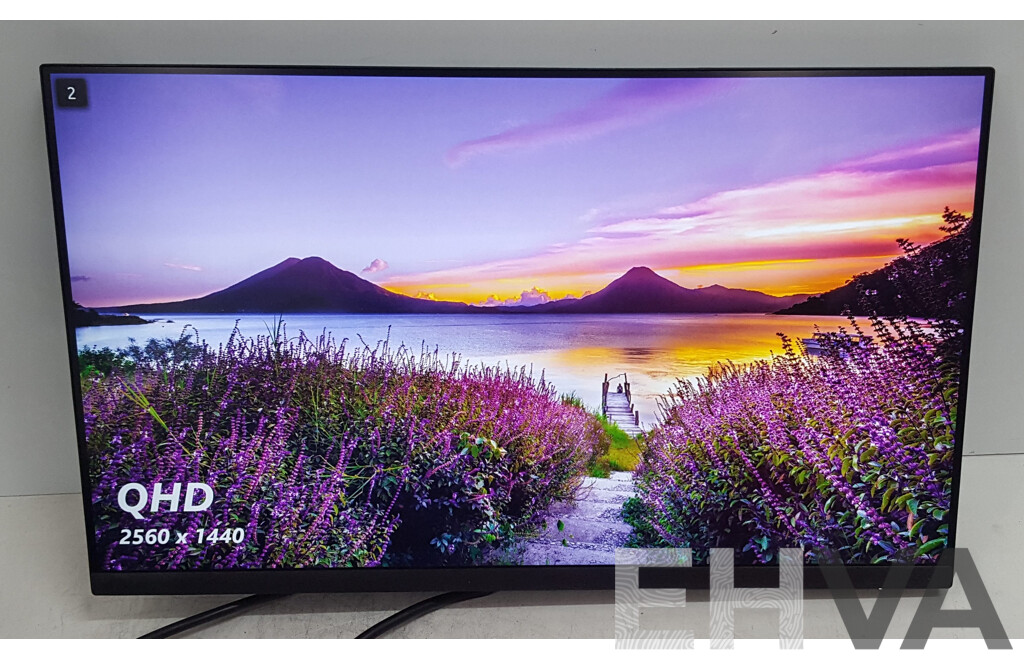 Dell (P2423D) 23.8-Inch QHD (1440p) Widescreen LED-Backlit LCD Monitor