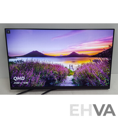 Dell (P2423D) 23.8-Inch QHD (1440p) Widescreen LED-Backlit LCD Monitor