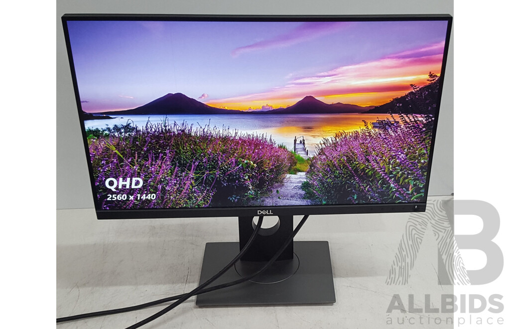Dell (P2418D) 23.8-Inch QHD (1440p) Widescreen LED-Backlit LCD Monitor