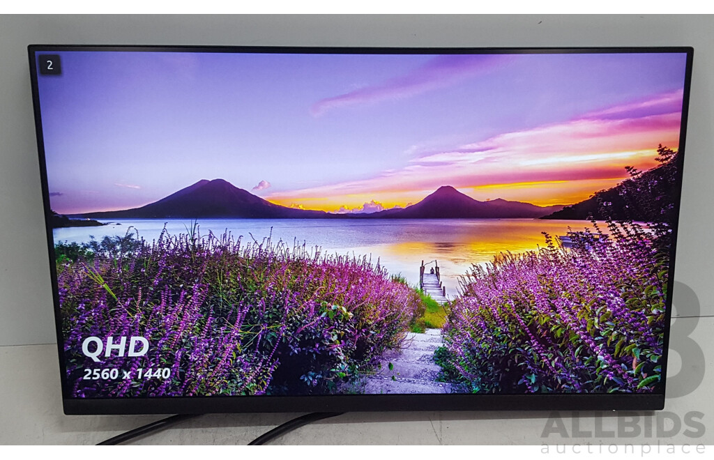 Dell (P2423D) 23.8-Inch QHD (1440p) Widescreen LED-Backlit LCD Monitor