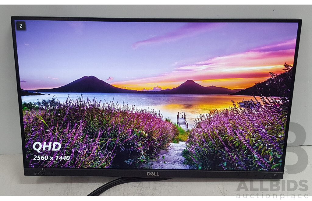 Dell (P2418D) 23.8-Inch QHD (1440p) Widescreen LED-Backlit LCD Monitor
