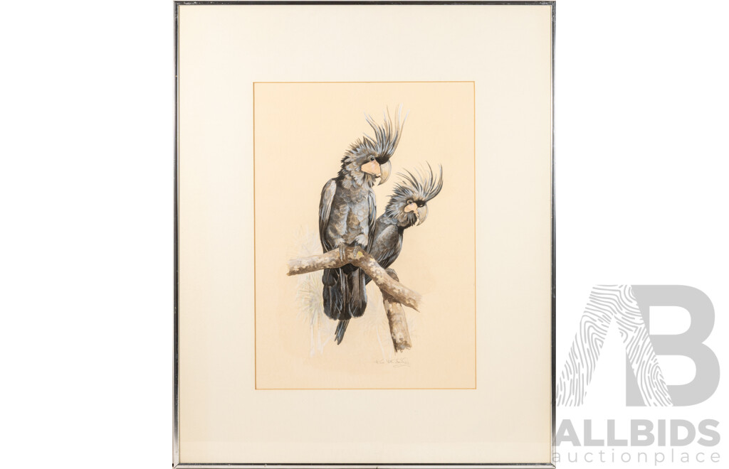 Ken McCarthy, (20th Century, Australian, 1930-2009), Palm Cockatoos, Wonderful Original Watercolour, 70 x 58 cm (frame)