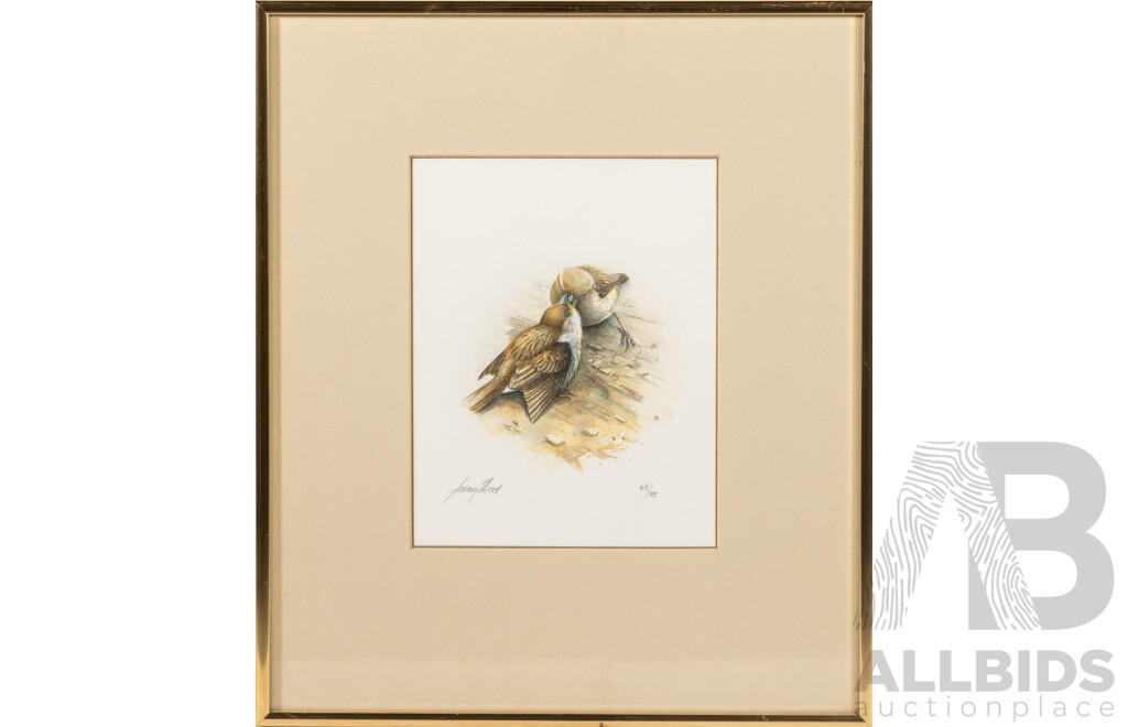 Jeremy Boot, (20th Century, Australian, 1948), Sparrows Feeding, Limited Edition Quality Print of Original Mixed Media Watercolour, 40 x 35 cm (frame)
