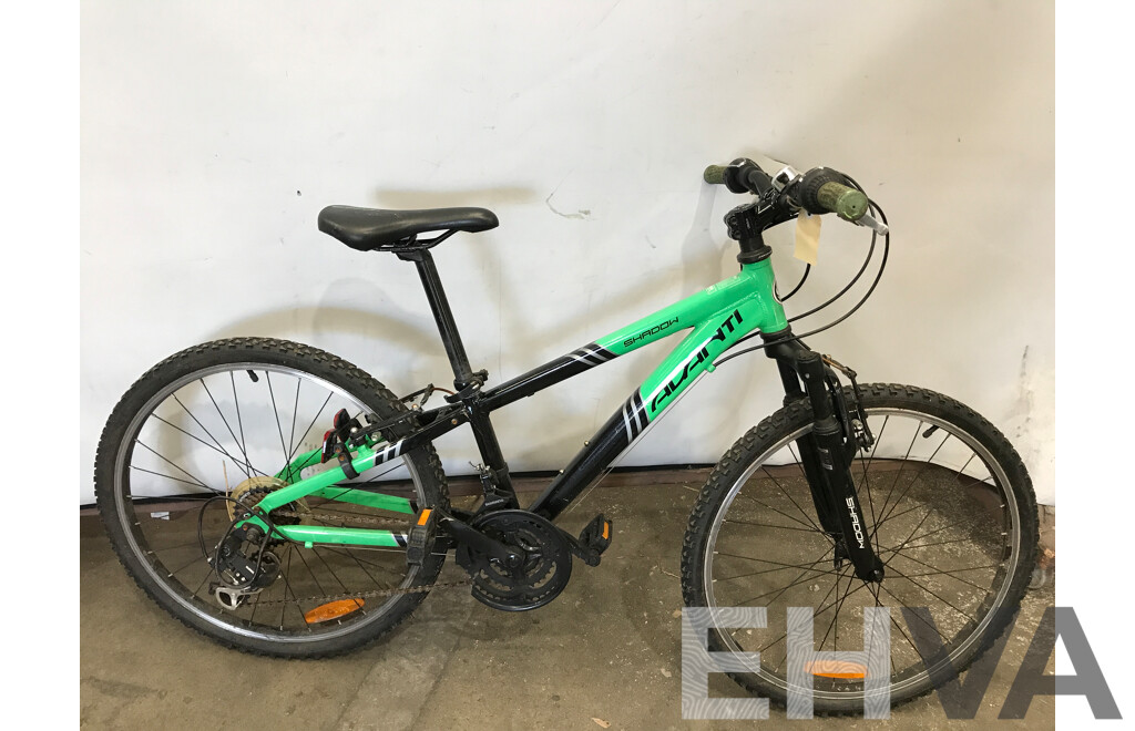 Avanti Shadow 14 Speed Mountain Bike
