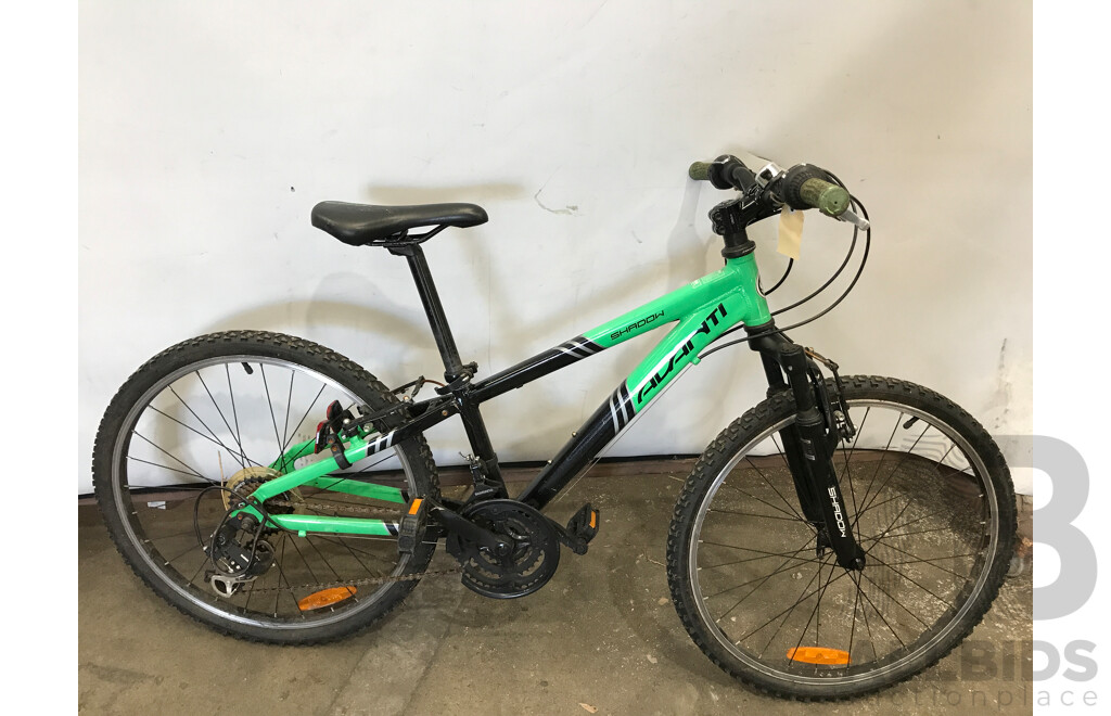 Avanti Shadow 14 Speed Mountain Bike