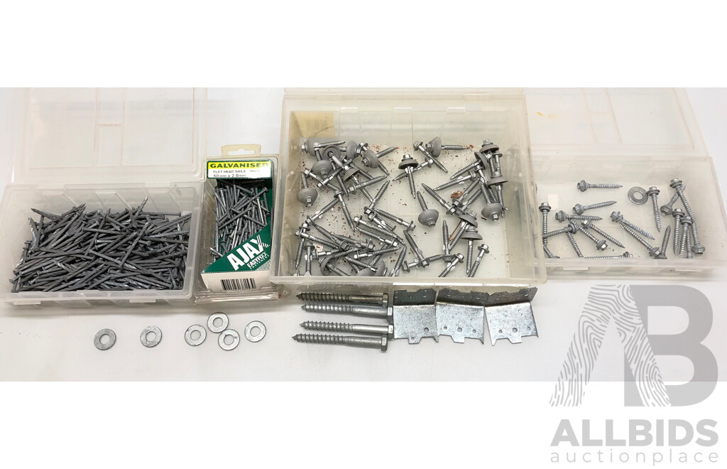 Selection of Galvanised Nail, Screws, Washers and Brackets