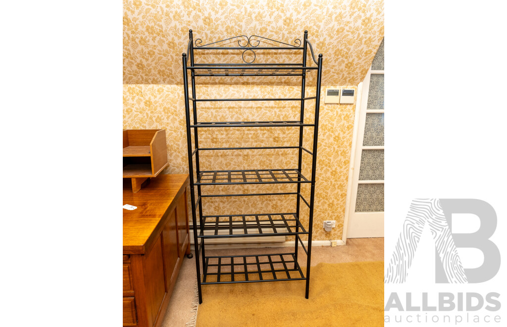 Modern Metal Shoe Rack