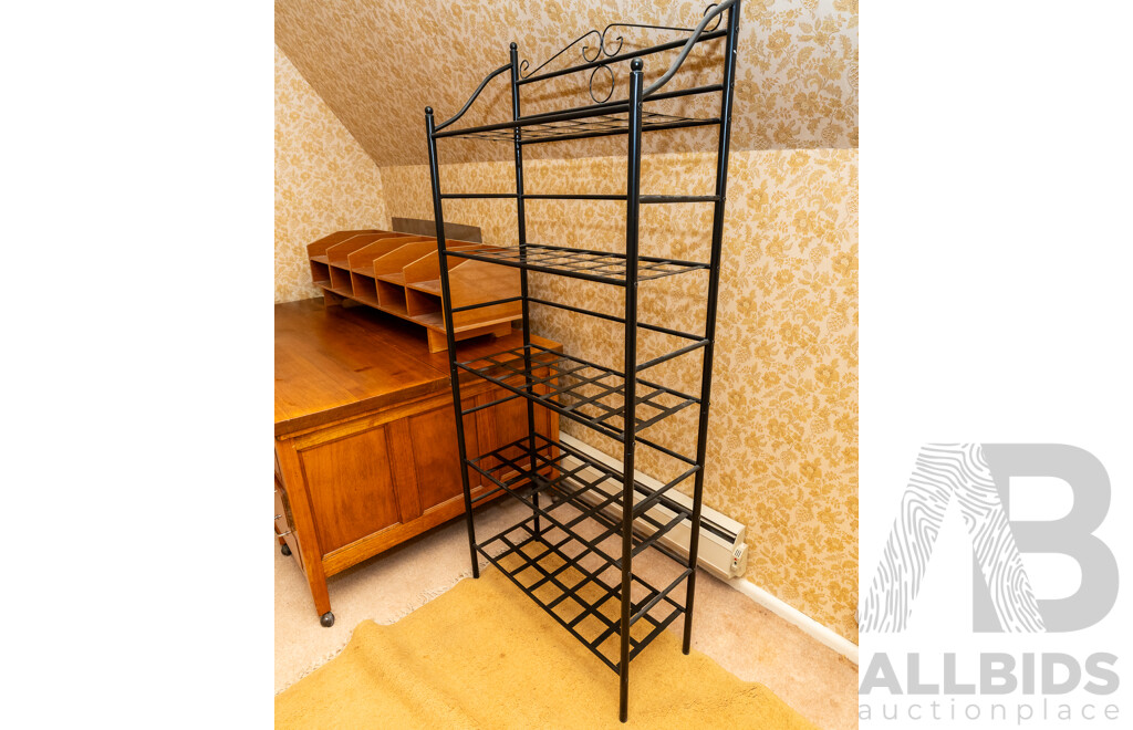 Modern Metal Shoe Rack