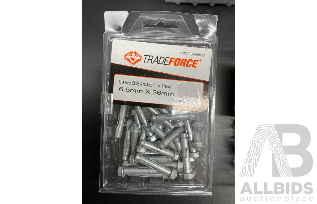 Assortech Fasteners and Anchors, Including Wall- Fix Anchors, Nylon Plasterboard Anchor, Sleeve Bolt Anchor, Hex Roof Screw and Rivet  - Lot of 65