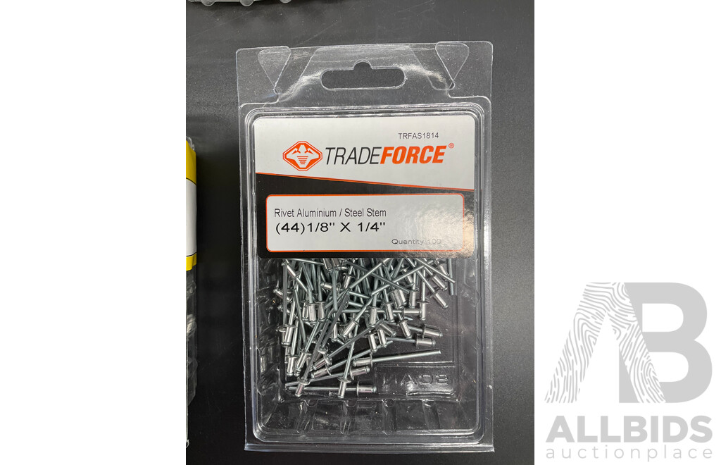 Assortech Fasteners and Anchors, Including Wall- Fix Anchors, Nylon Plasterboard Anchor, Sleeve Bolt Anchor, Hex Roof Screw and Rivet  - Lot of 65