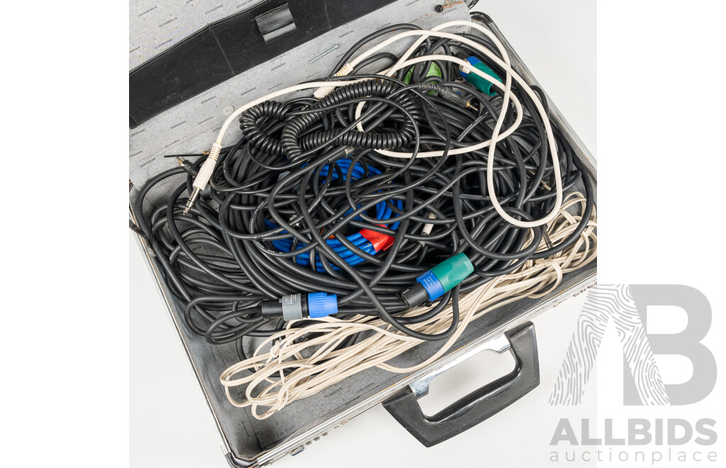 Briefcase with Collection Audio Cables Including Cannons and More