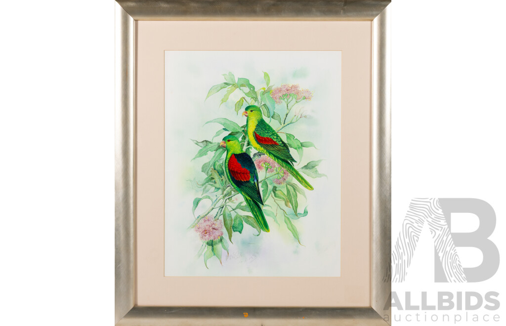 Artist Unknown, (20th Century), Western Red Winged Parrots (2003), Original Watercolour, 69 x 59 cm (frame)
