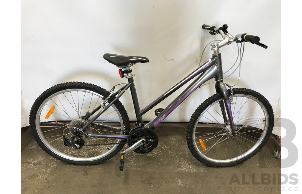 Giant Boulder 21 Speed Hybrid Bike