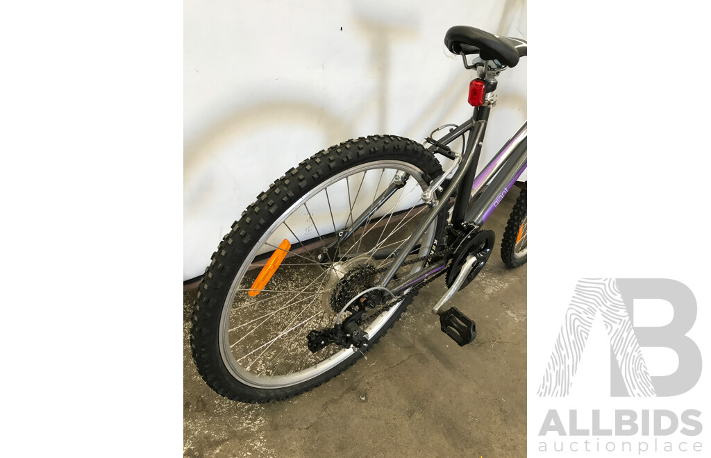 Giant Boulder 21 Speed Hybrid Bike