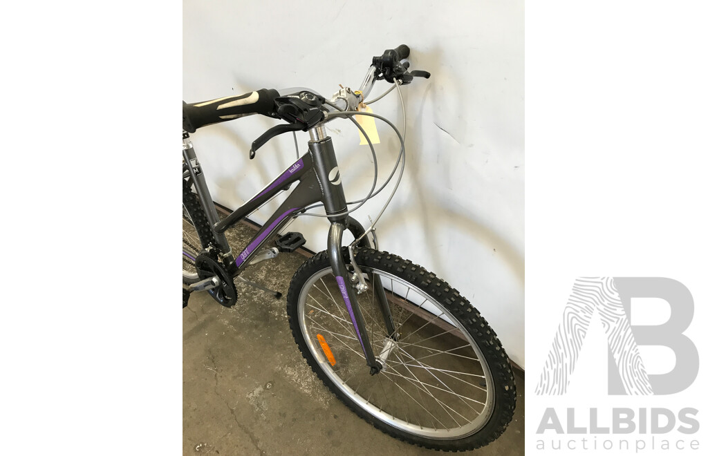 Giant Boulder 21 Speed Hybrid Bike