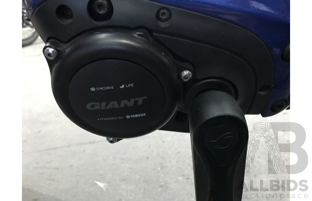 Giant Syncdrive 9 Speed Electric Bike