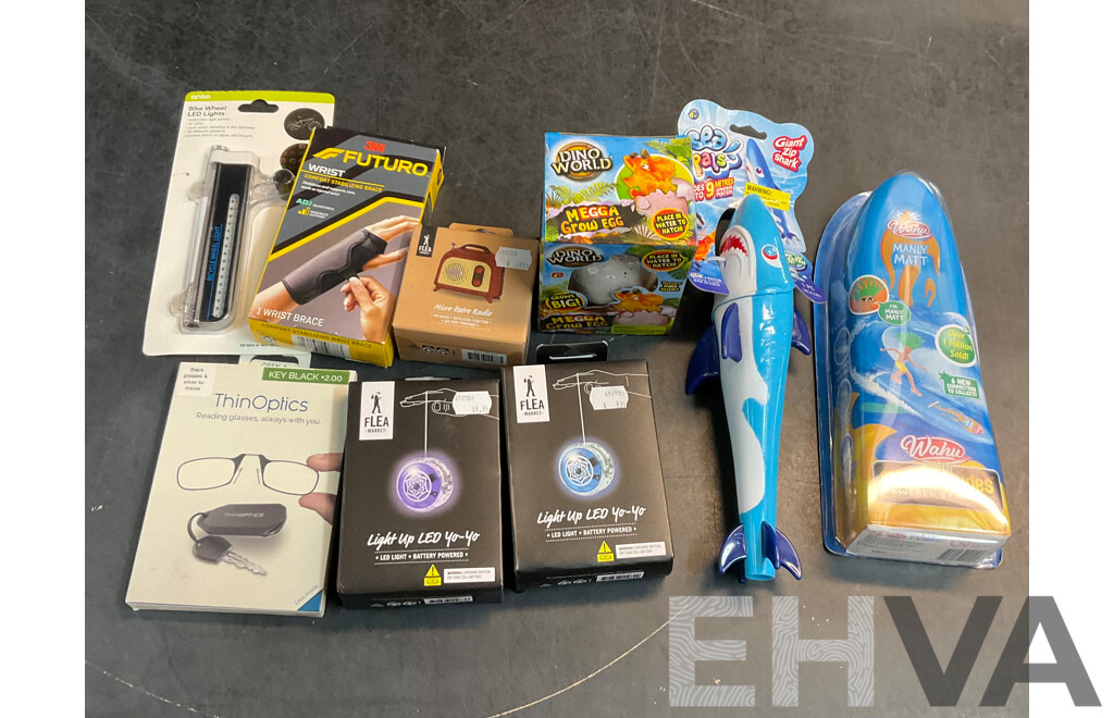 Assorted Toys & Household Items