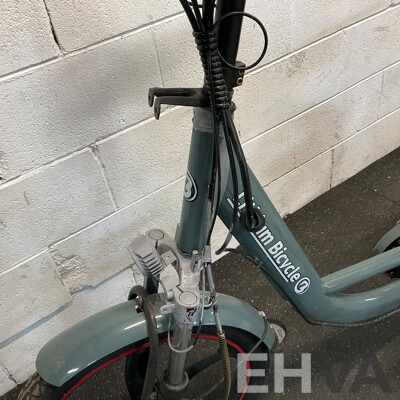 Lithium Bicycle E-bike
