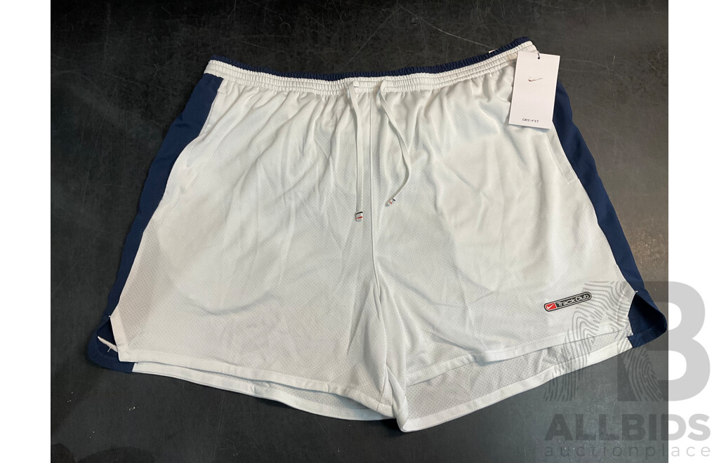 Assorted NIKE Shorts Size L and XL - Lot of 3