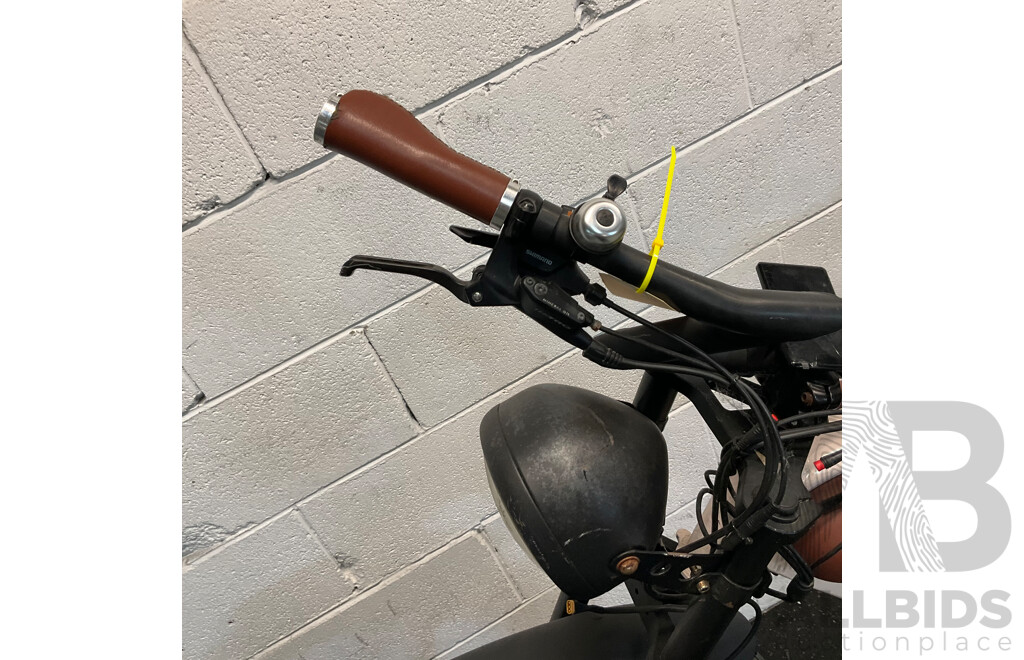 Ezriderz E-bike