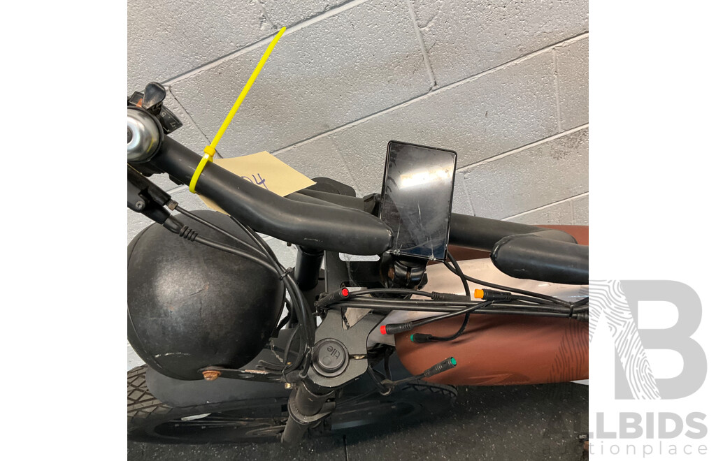 Ezriderz E-bike
