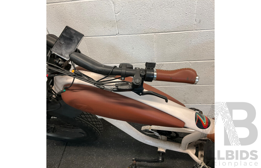 Ezriderz E-bike
