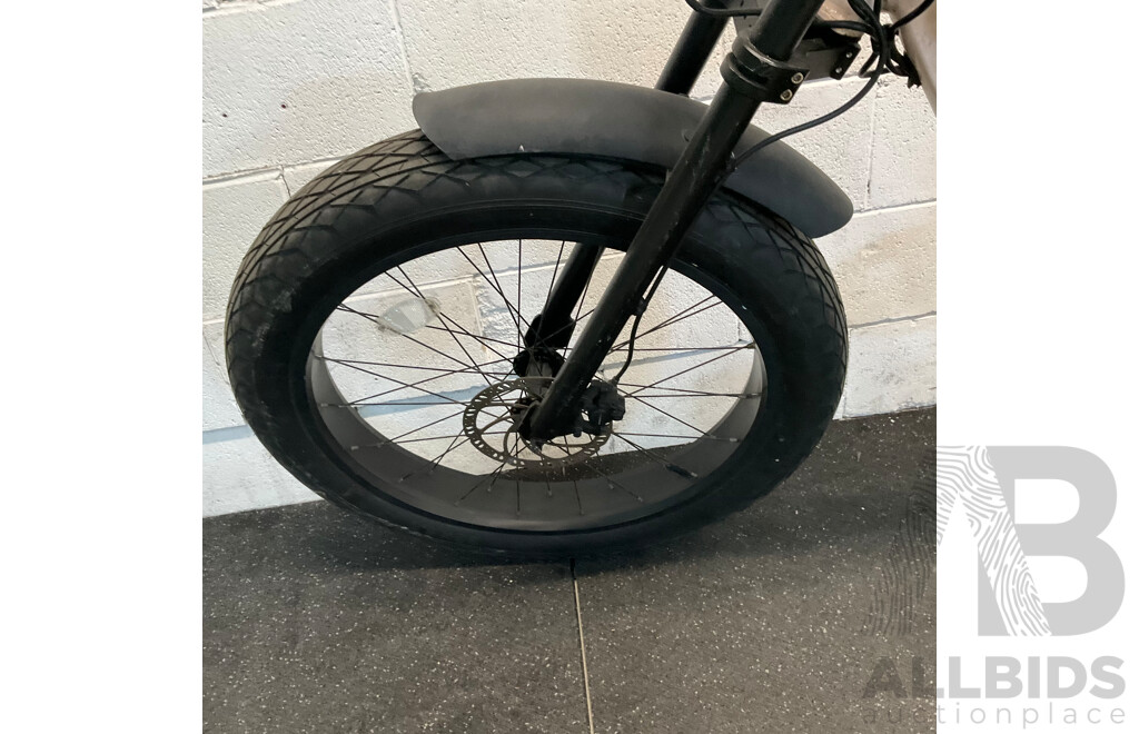 Ezriderz E-bike