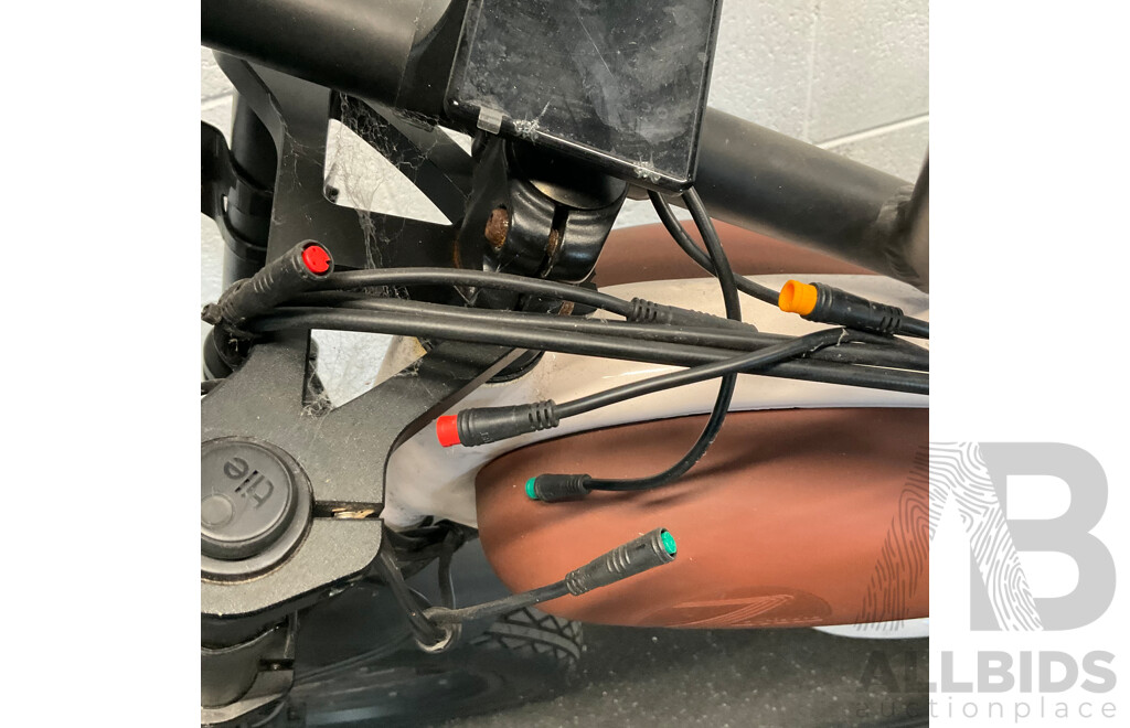 Ezriderz E-bike