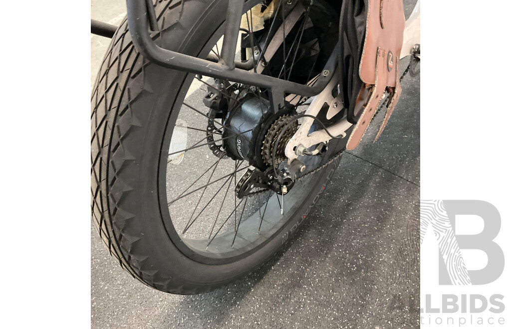 Ezriderz E-bike