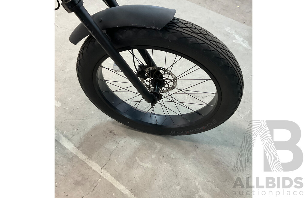 Ezriderz E-bike