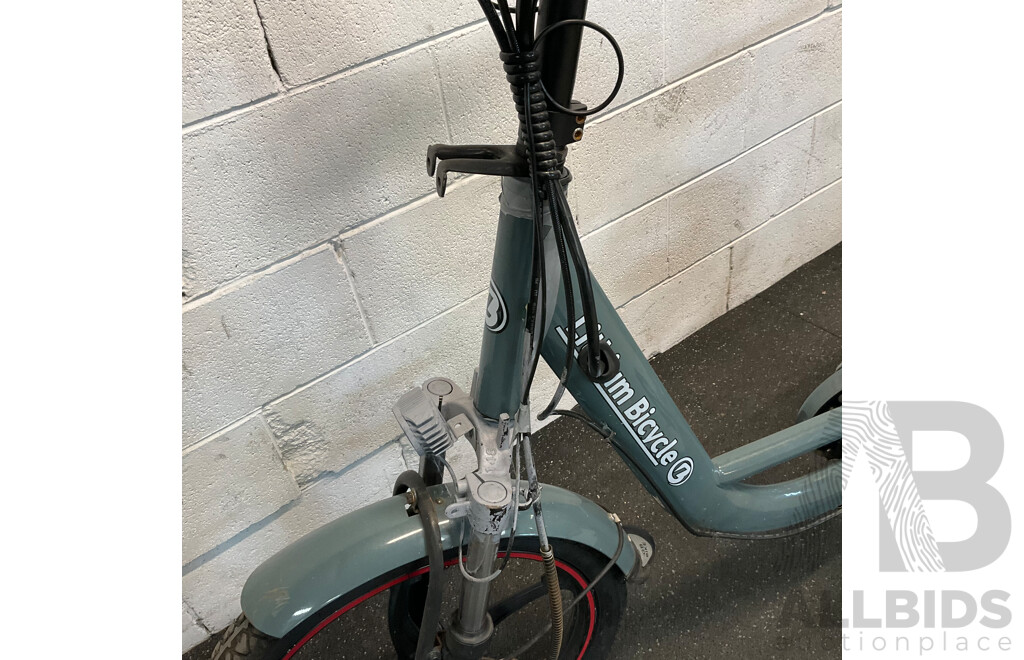 Lithium Bicycle E-bike