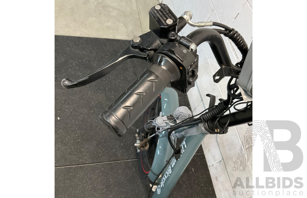Lithium Bicycle E-bike