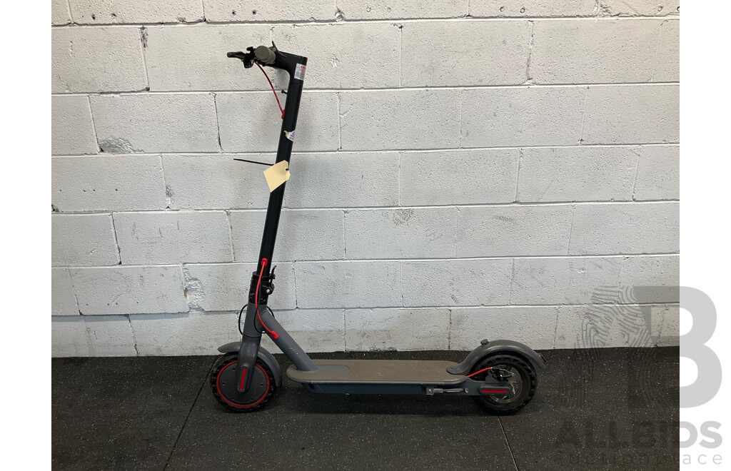 Electric Scooter