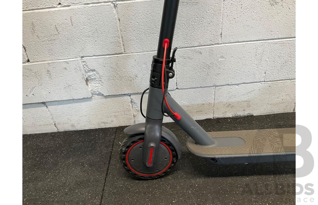 Electric Scooter