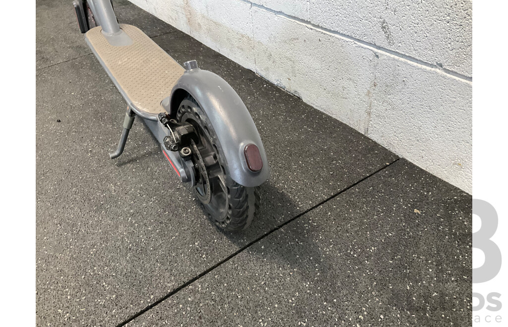 Electric Scooter