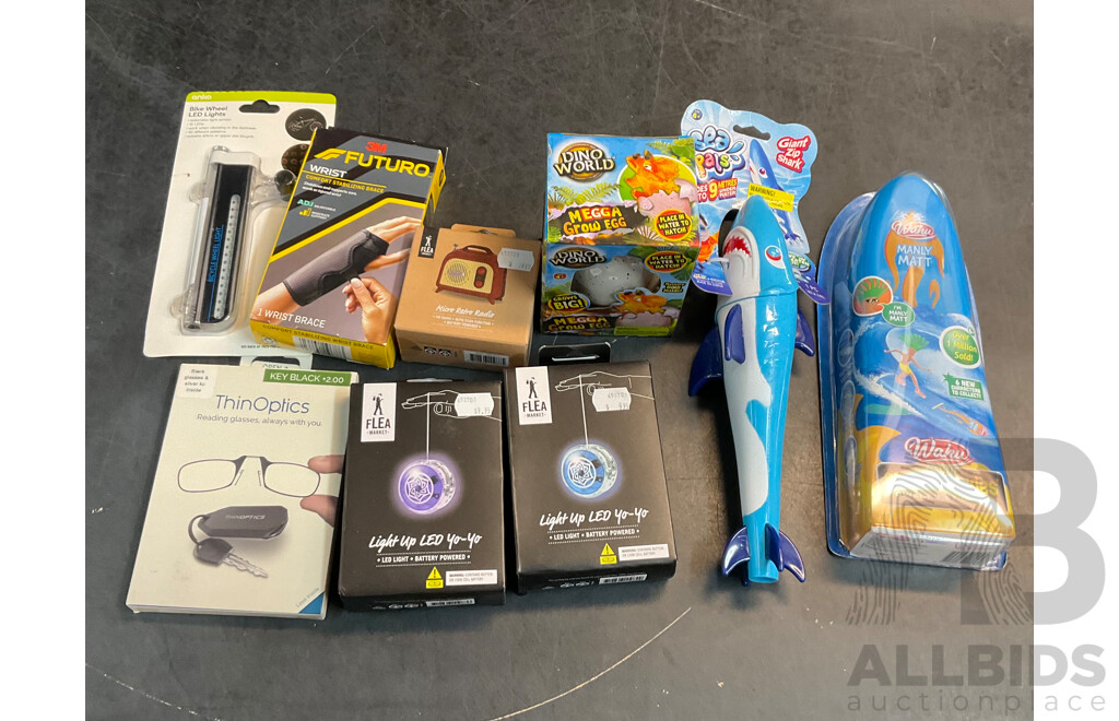 Assorted Toys & Household Items