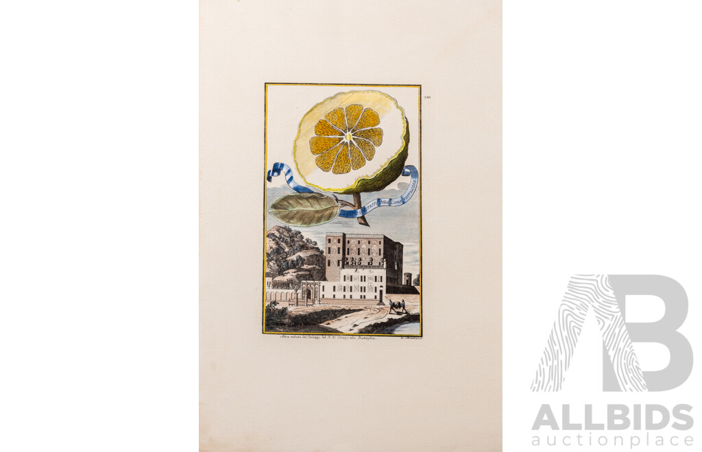 Johan Christoph Volckamer (1644-1720, German), Wonderful Collection of Four Citrus Fruit Studies, Coloured Antique Botanical Prints, [From Nurnbergische Hesperides], 56 x 38 cm (sheets) (5)