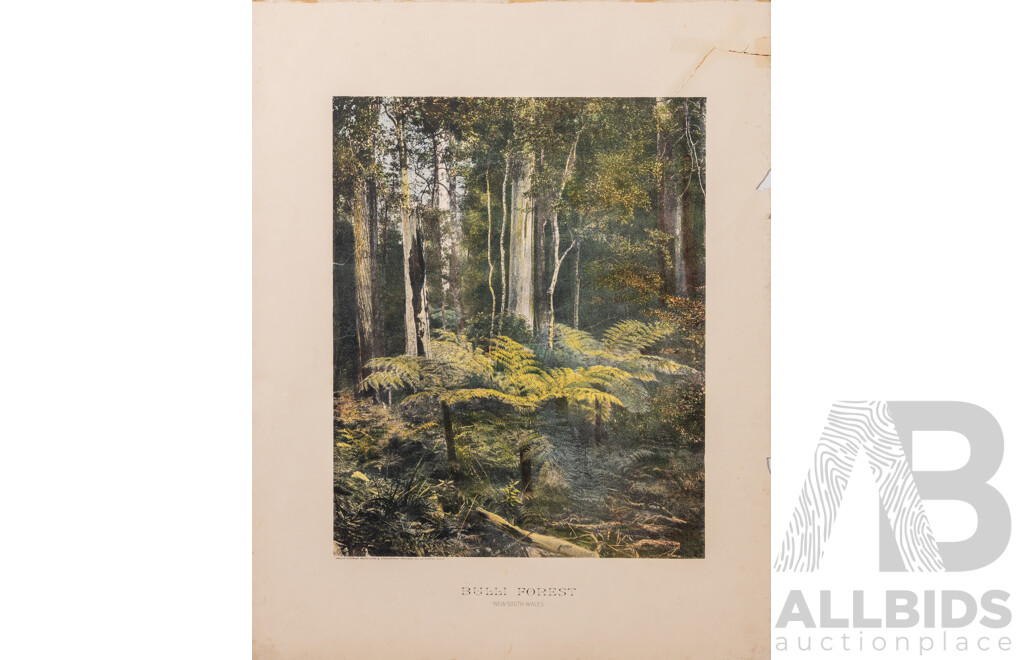 Johan Christoph Volckamer (1644-1720, German), Wonderful Collection of Four Citrus Fruit Studies, Coloured Antique Botanical Prints, [From Nurnbergische Hesperides], 56 x 38 cm (sheets) (5)