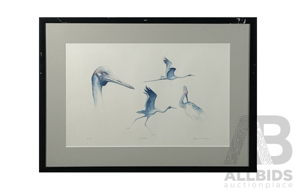 Tom McAulay, (20th Century, Australian, 1946-), Brolgas, Signed Artist's Proof Colour Print of Original Watercolour, 54 x 74 cm (frame)