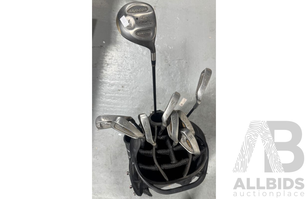 Golf Club Set with Nine Clubs and Bag