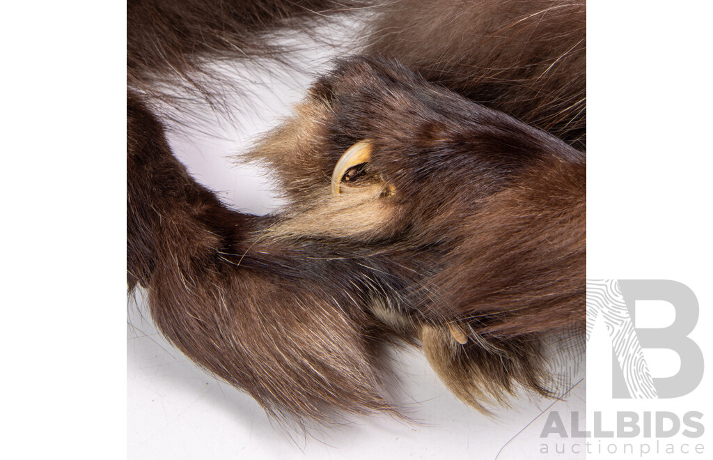 Vintage Soft Fur Cape With Attached Feet and Claws Small