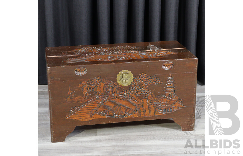 Chinese Camphorwood Trunk
