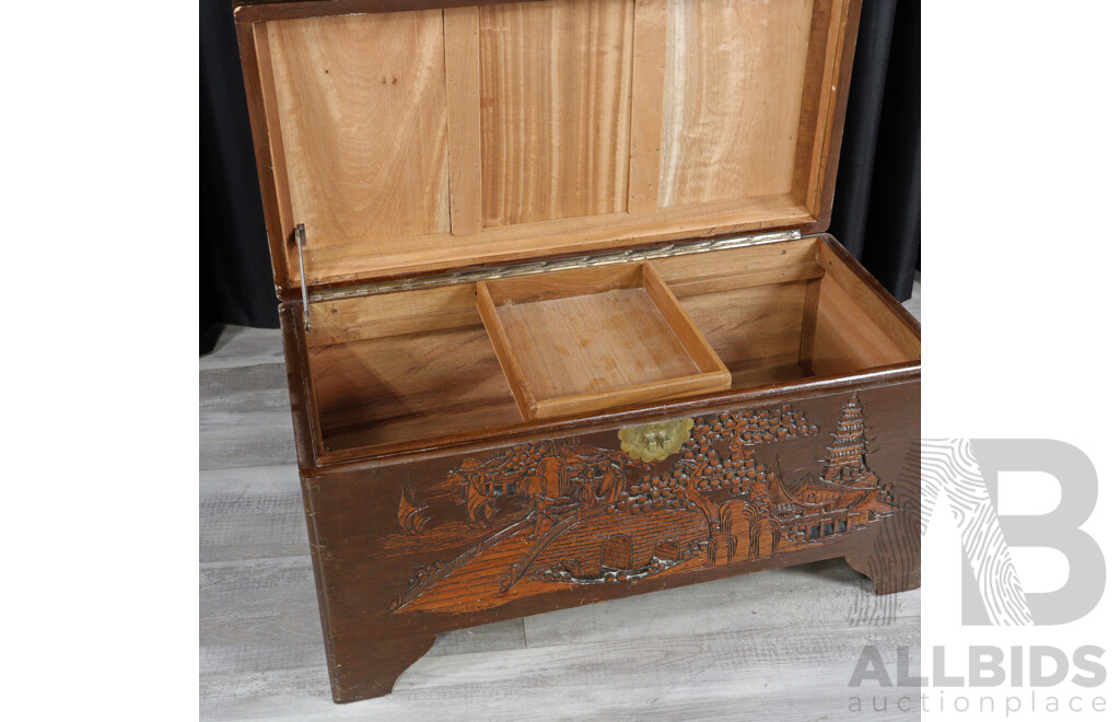 Chinese Camphorwood Trunk