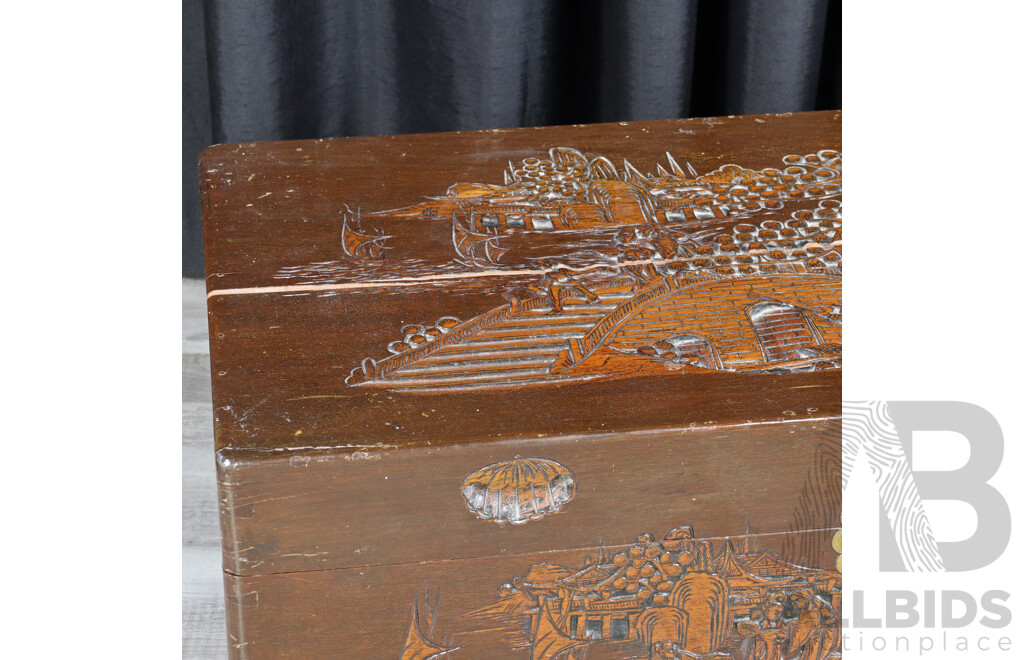 Chinese Camphorwood Trunk