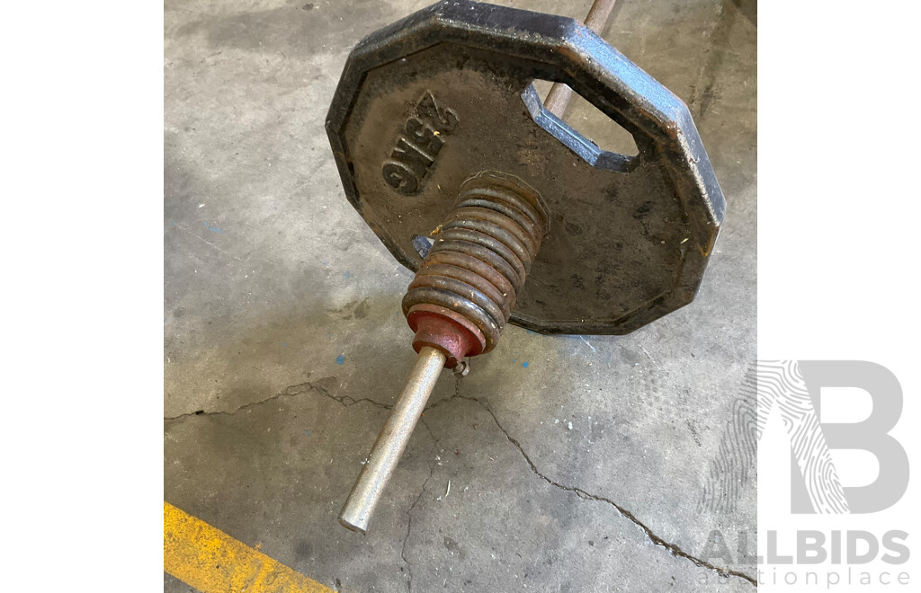 Weight Bar & Assorted Weight Plates