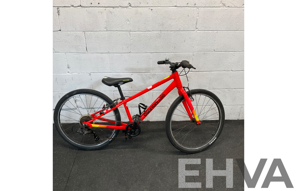 Cannondale Kids Bike